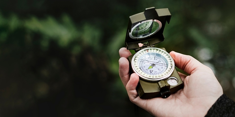 Constraint, permission and leadership: the ingredients of innovation