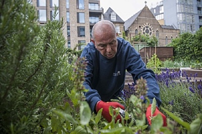 St Mungo's garden