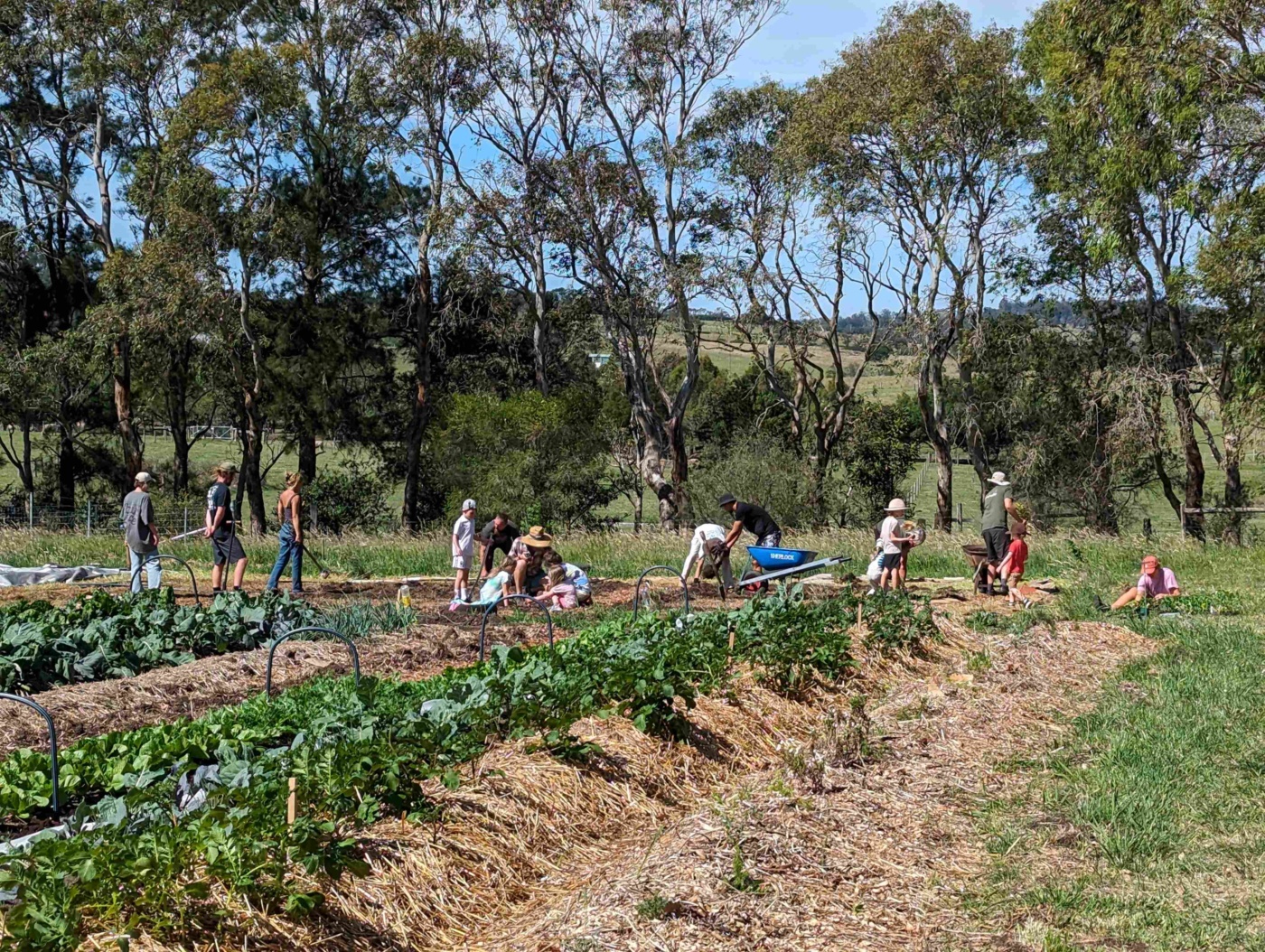 FRRR CLCS R2 Growing Together South Coast Inc NSW