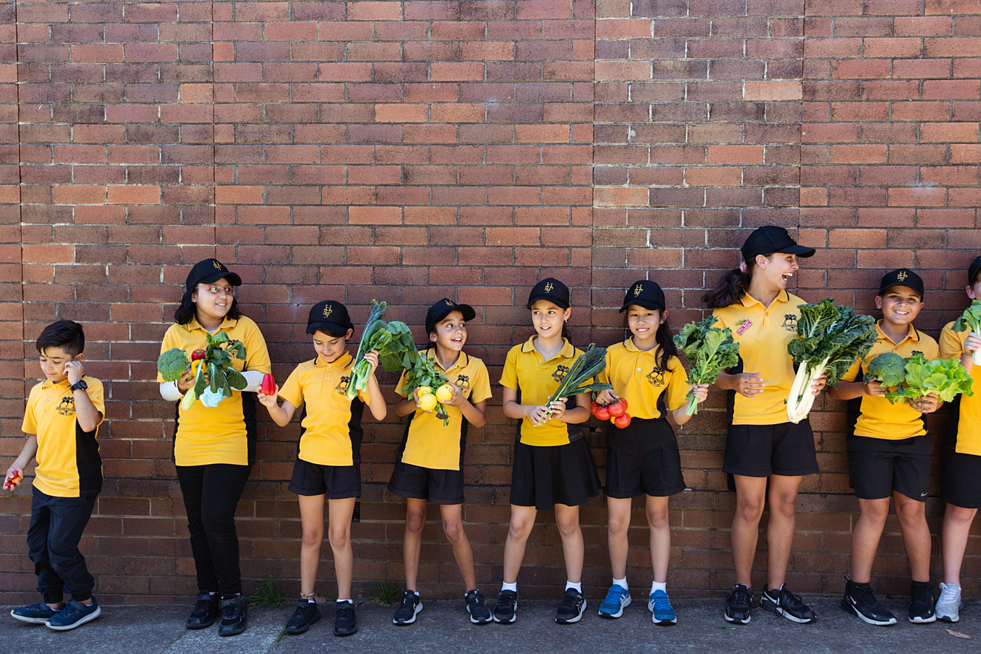 Food Ladder Hilltop Road Public School