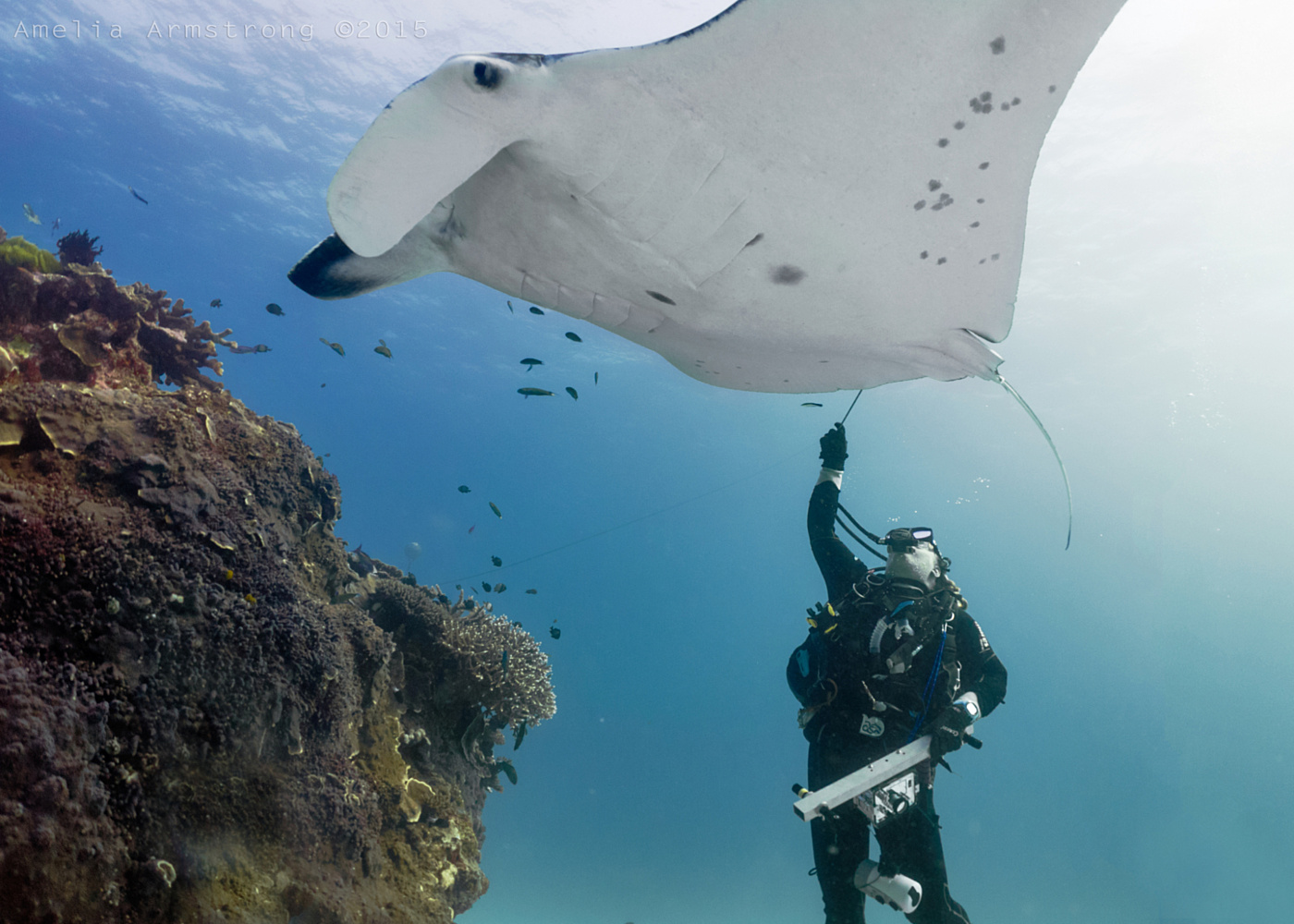 Kathy collecting DNA sample photo by Amelia Armstrong