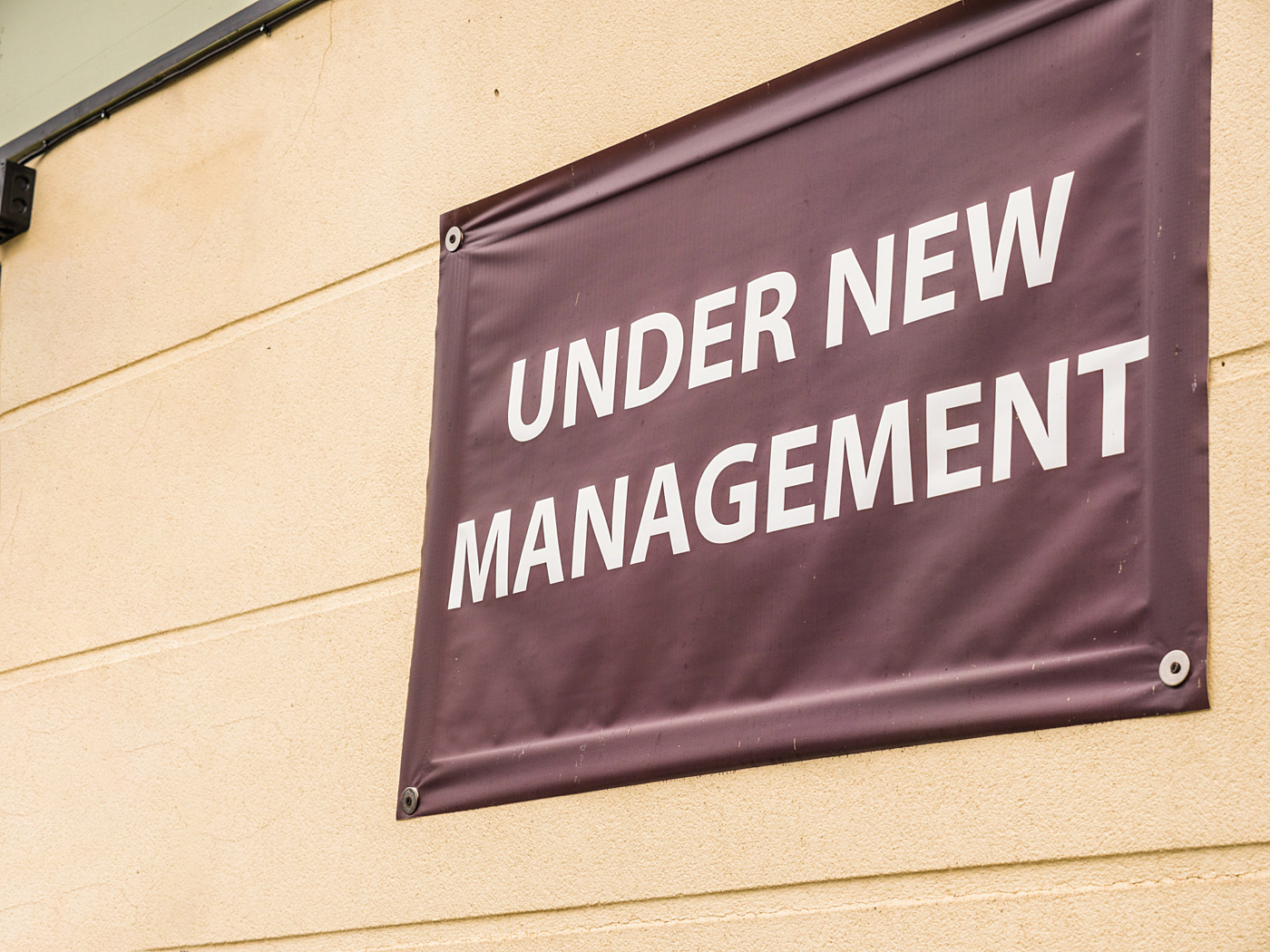 Shutterstock under new management