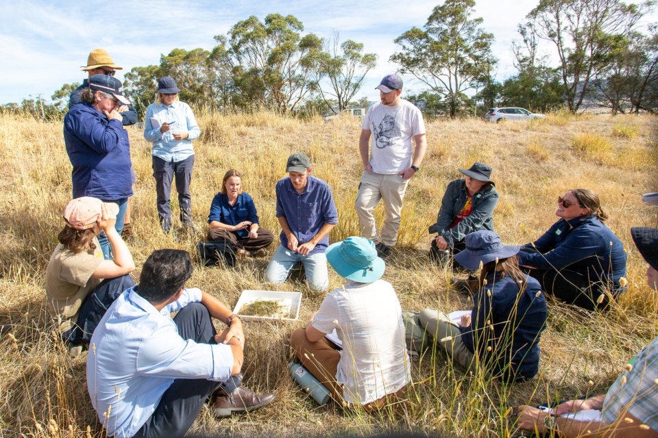 The power of community meets the power of the internet in auDA community grants
