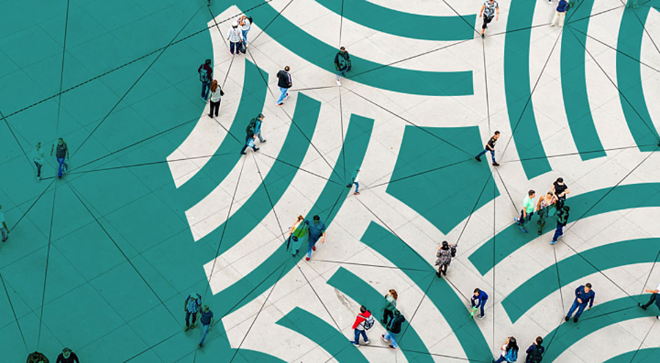 Unique survey examines effective strategic decision-making in NFPs
