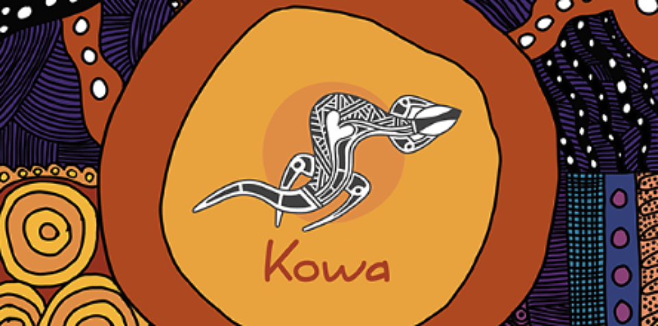 Indigenous-made evaluation platform puts the power of data back into First Nations hands