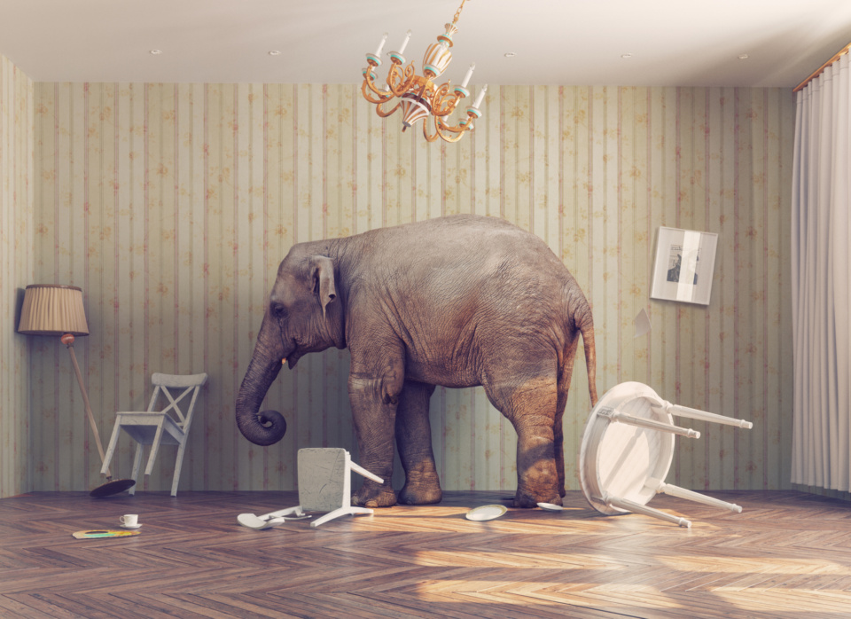 The elephant in the funding room: You can’t build a strong, effective charity sector 12 months at a time