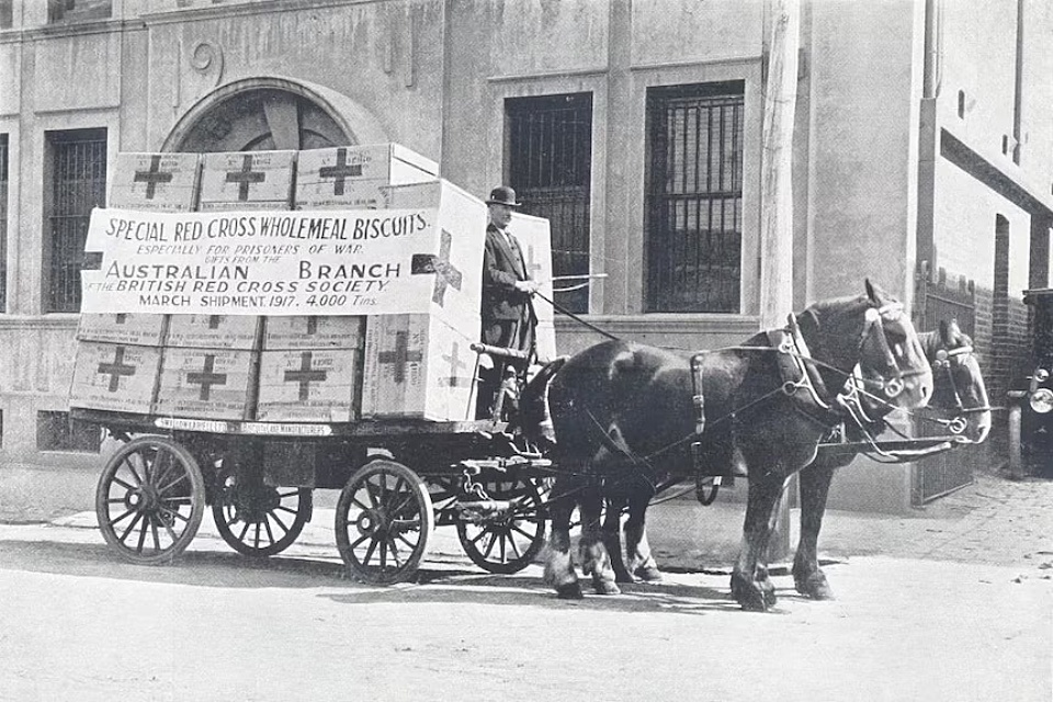 Red Cross Supplies1917