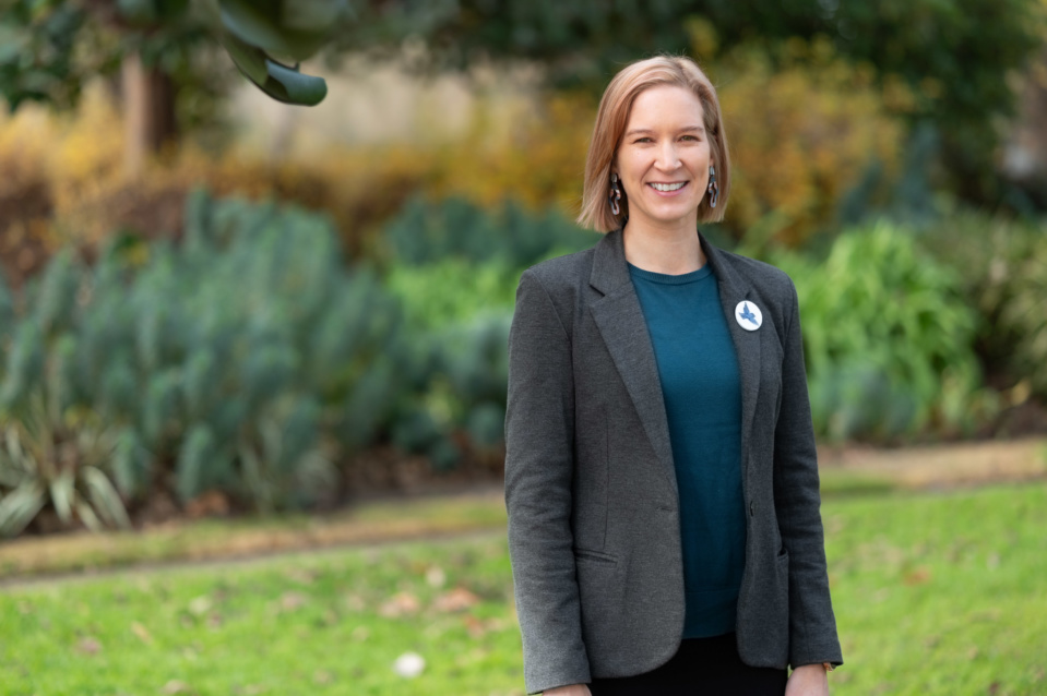 Campaigning essentials to consider