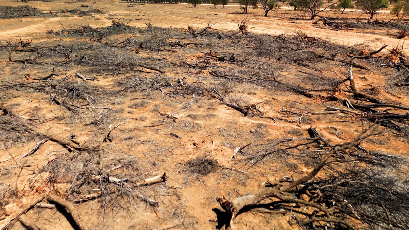 ACF land clearing