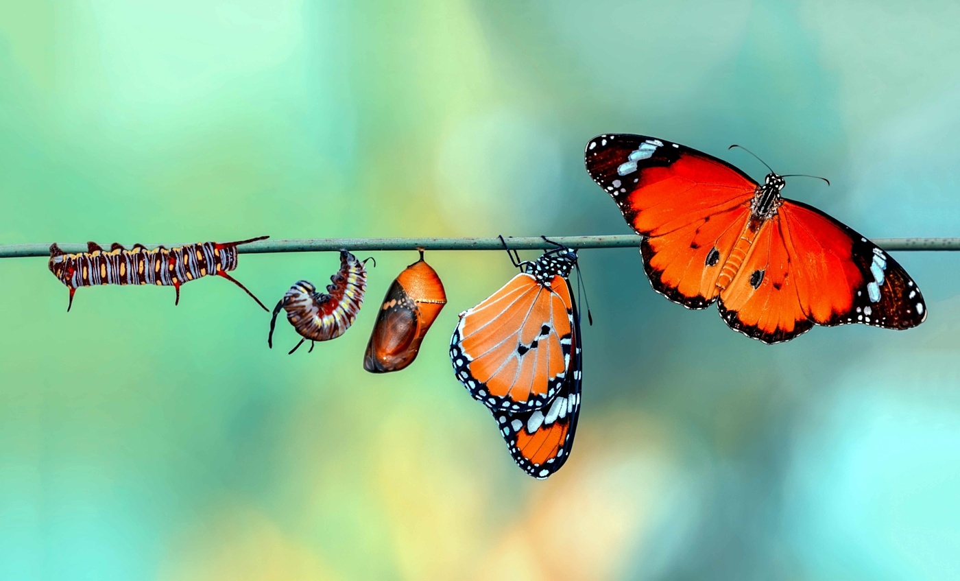 Change evolution