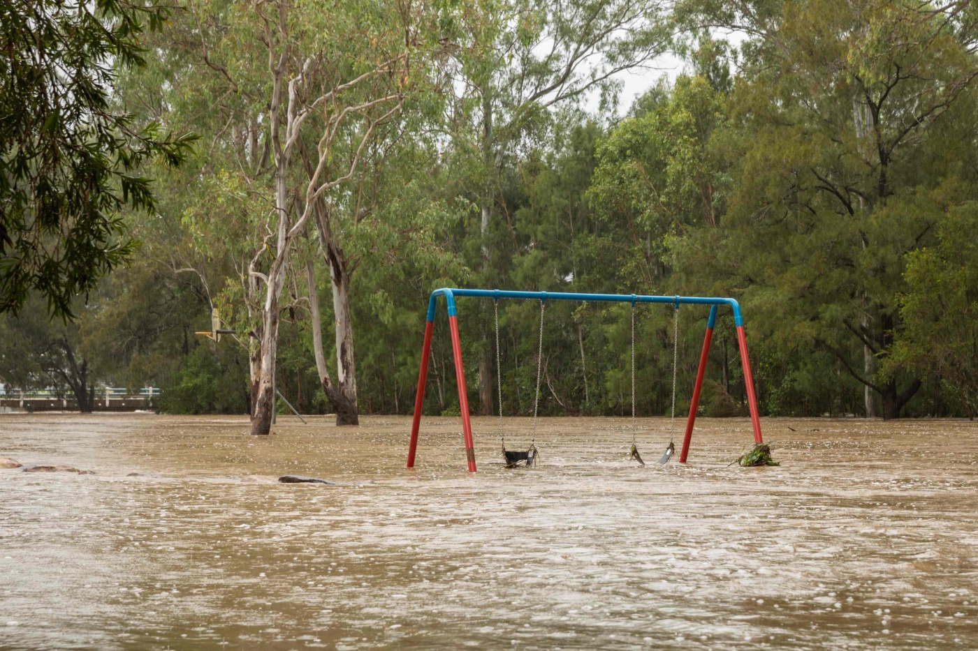 Cyclone Alfred