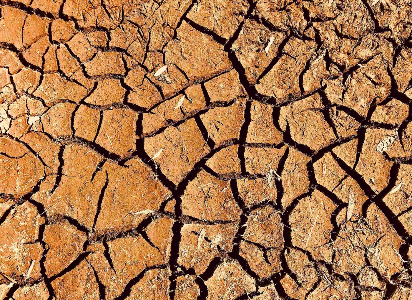 Drought
