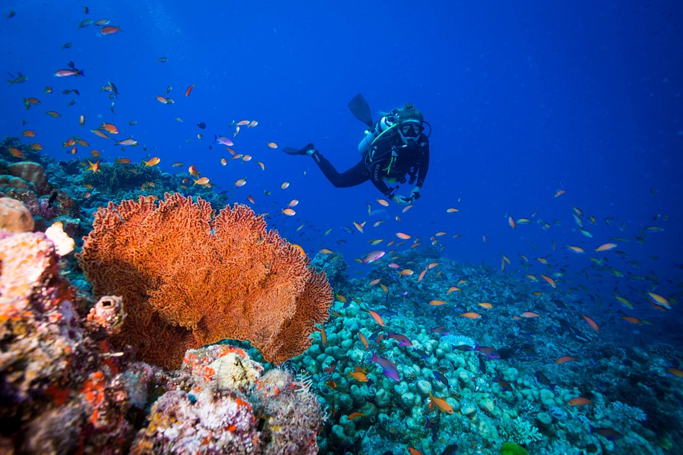 Great Barrier Reef
