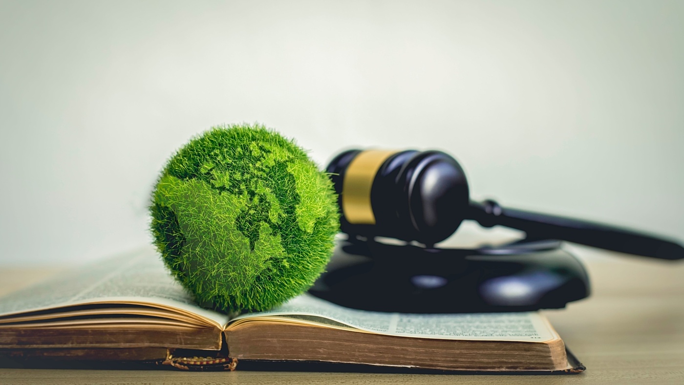 Green lawfare protest court legal environment