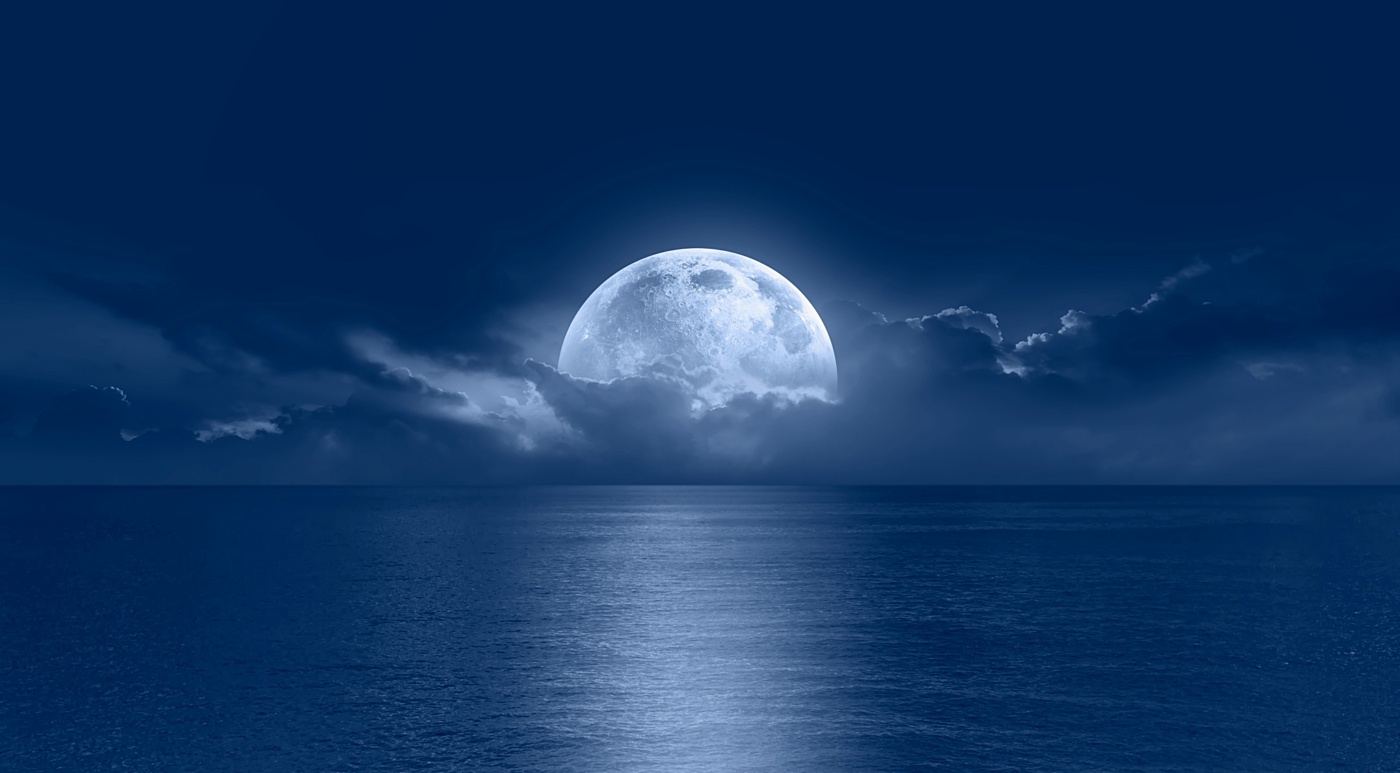 Moonshot