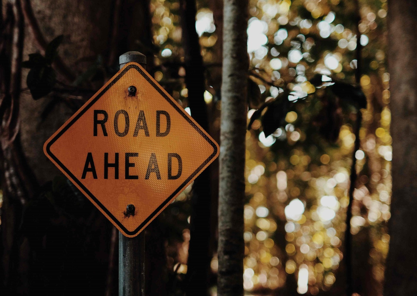 Road ahead