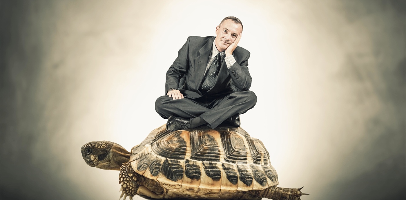 Slow reform