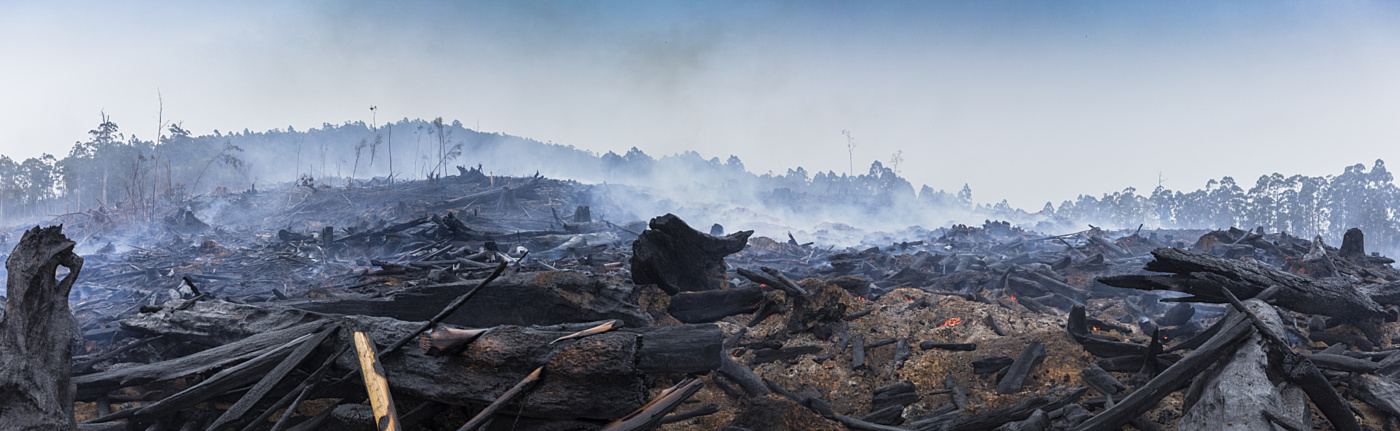 Shutterstock bushfire after
