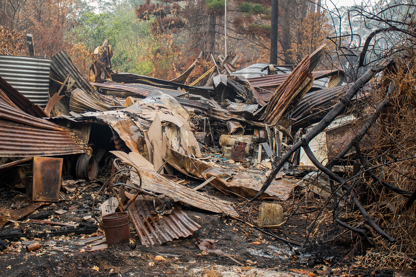 Shutterstock bushfire damage