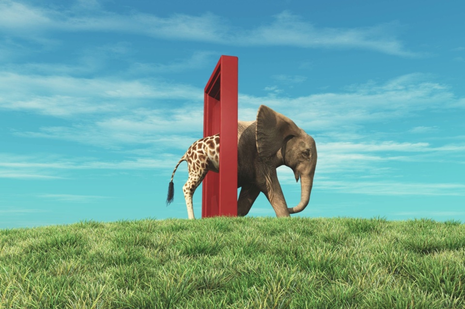 Self-review tax return changing NFP landscape: ATO