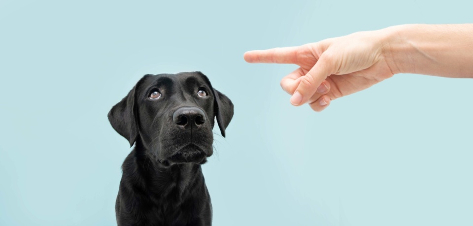 Charities regulator moves against children’s charity