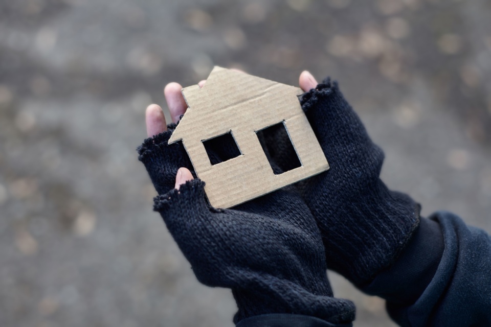 Housing crisis