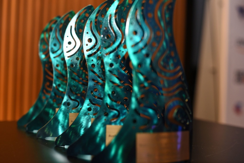 Sector shines in technology awards