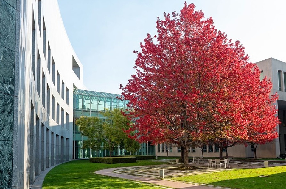It's time for a new Budget performance – root and branch