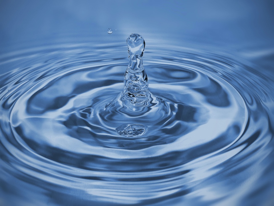 Bridging the gap between insight and impact