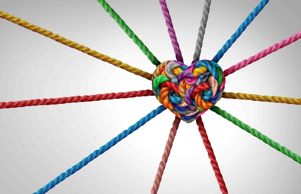 For purpose organisations band together on purpose