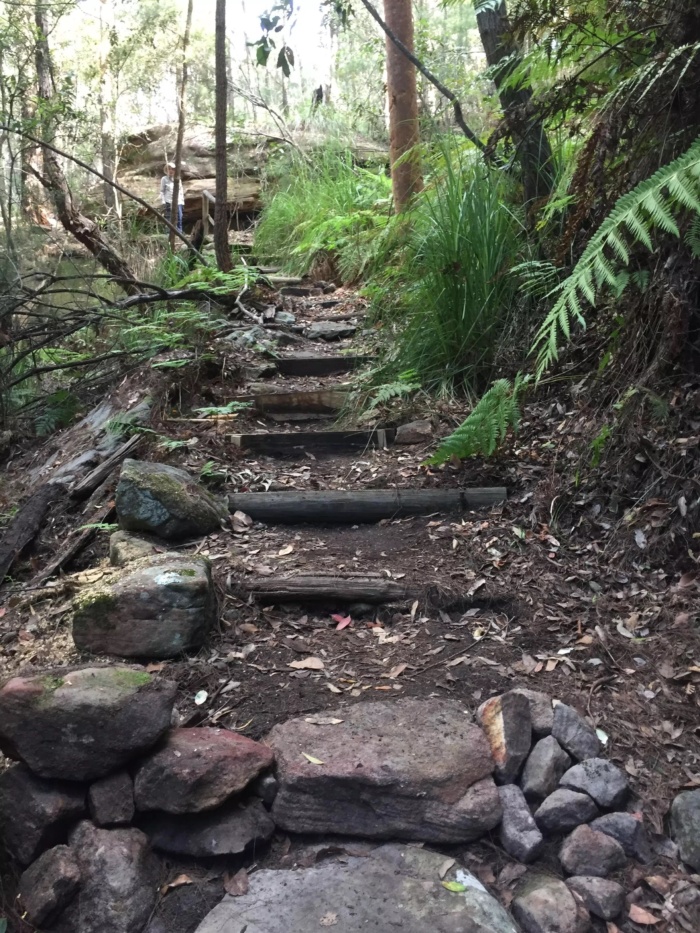 Katandra steps