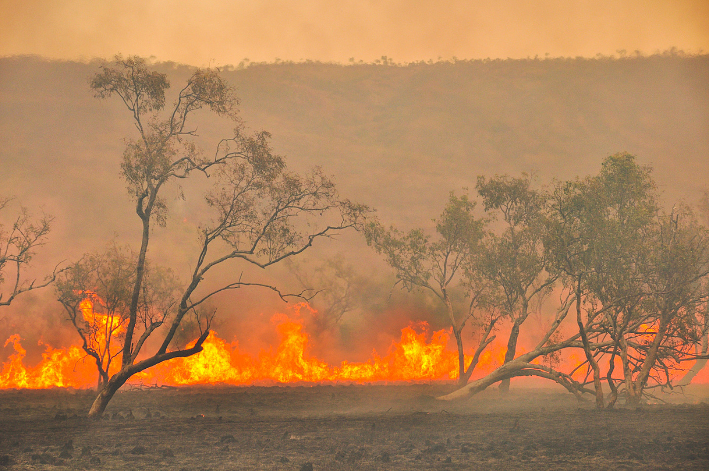 Fires