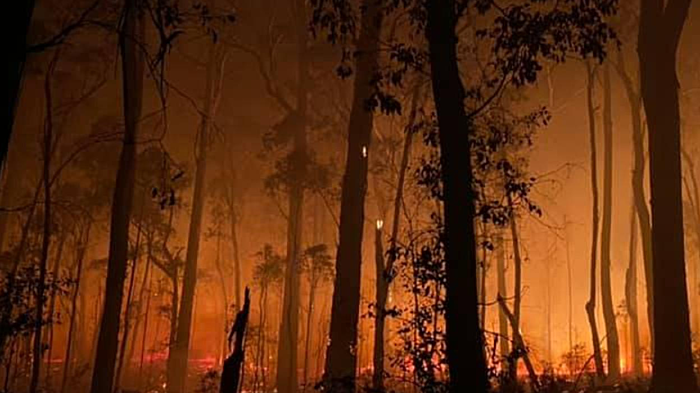 Bushfire