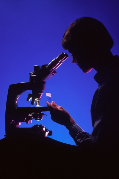 Microscope