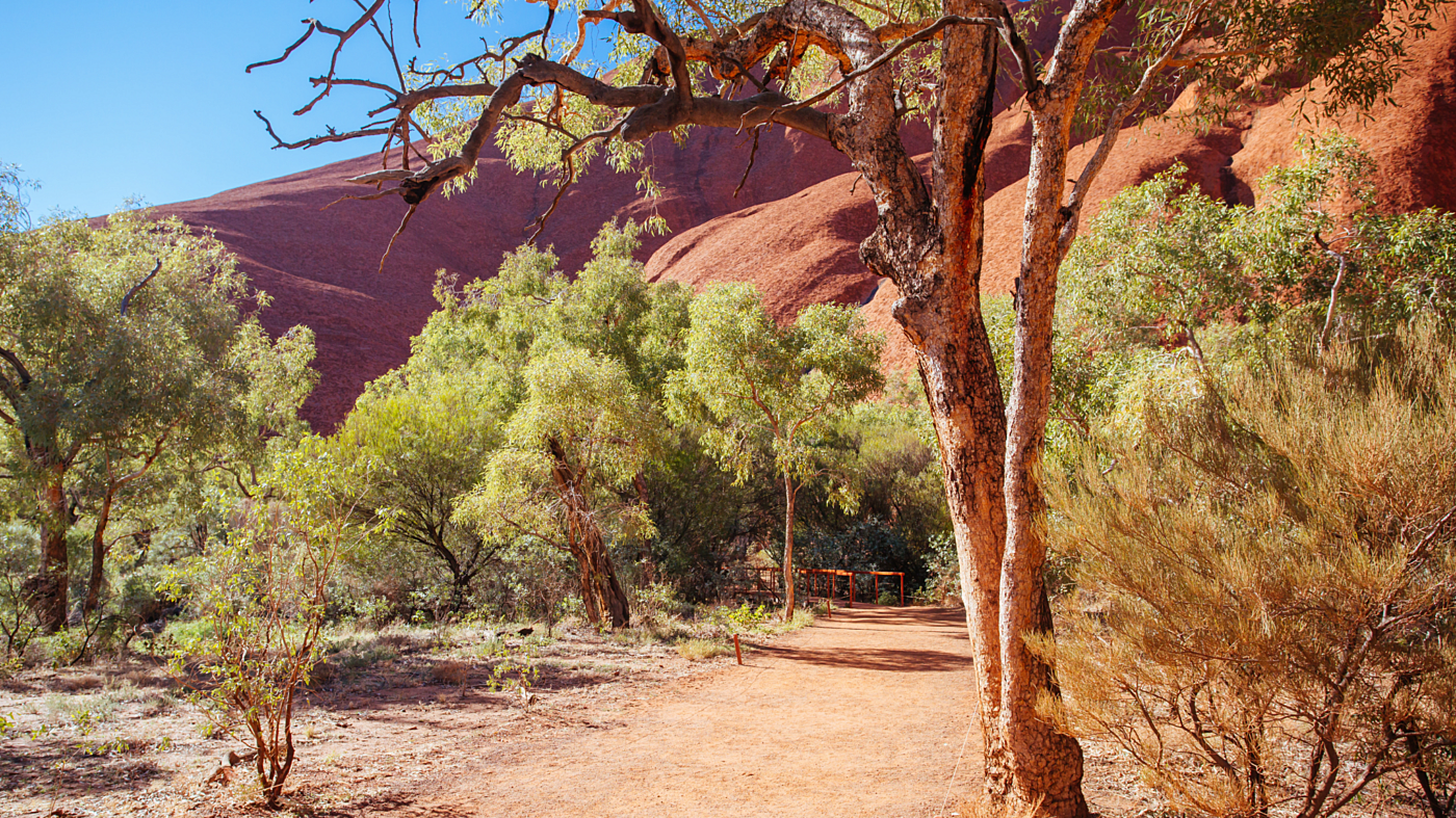NT budget summary Article Banner 1400px wide