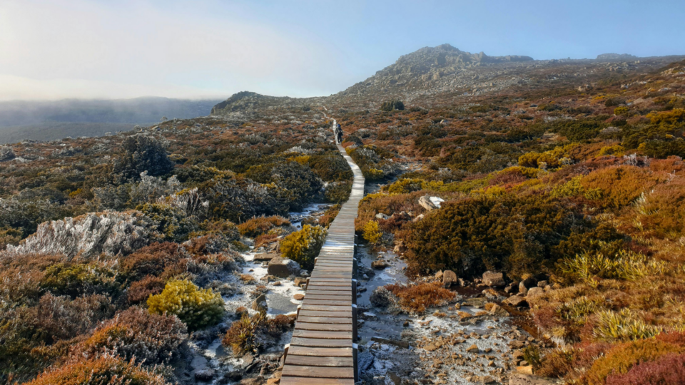 What’s in the 2026-27 Tasmanian state Budget for your organisation?