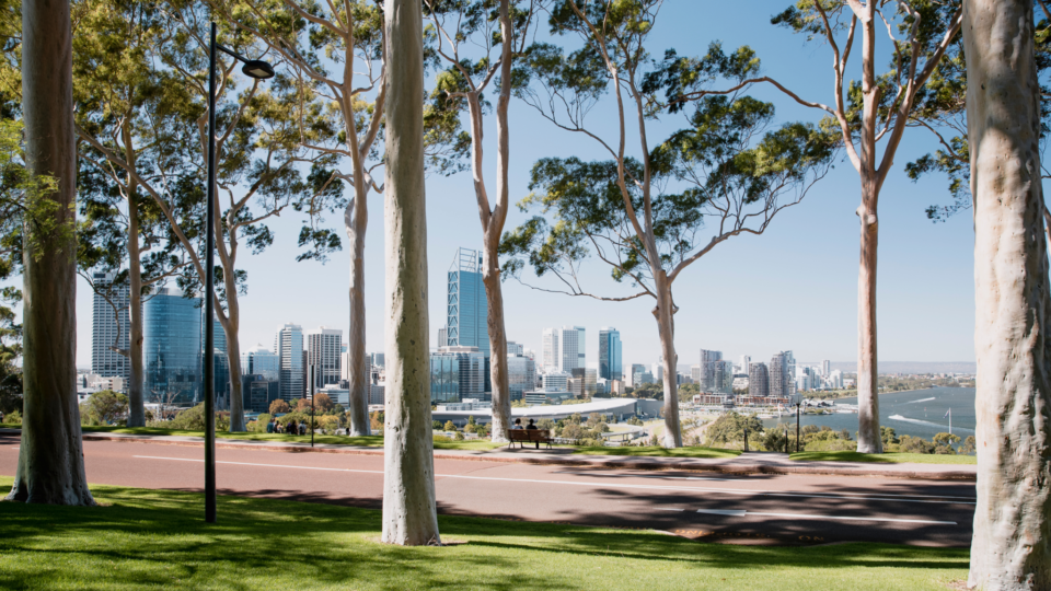 What’s in the 2026-27 WA state Budget for your organisation?