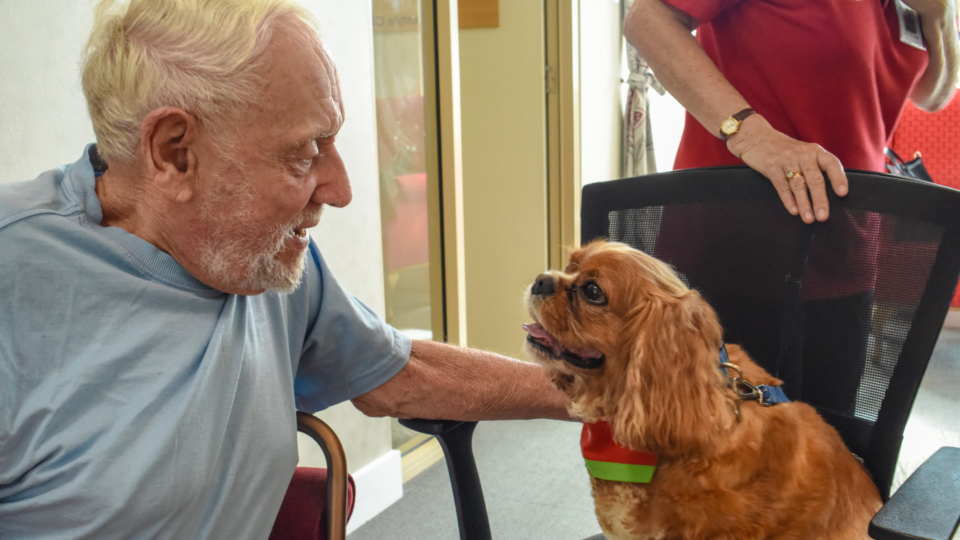 A song from the heart: how Delta Therapy Dogs is using Funding Centre to keep the joy going
